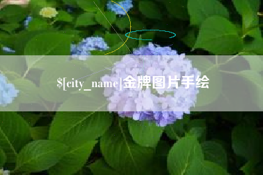 屯昌金牌图片手绘