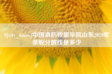 屯昌中国消防救援学院山东2020年录取分数线是多少