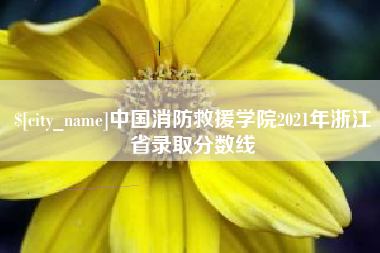 屯昌中国消防救援学院2021年浙江省录取分数线
