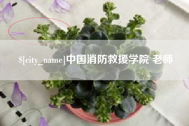 屯昌中国消防救援学院 老师