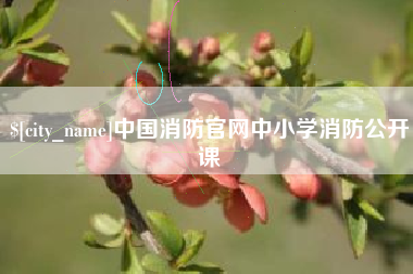 屯昌中国消防官网中小学消防公开课
