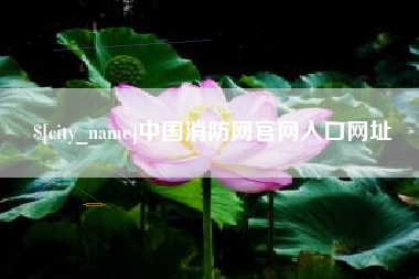屯昌中国消防网官网入口网址