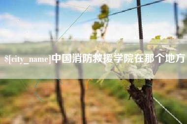 屯昌中国消防救援学院在那个地方