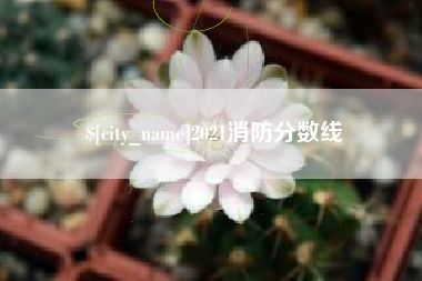 屯昌2021消防分数线