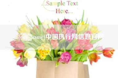 屯昌中国执行网信息官网