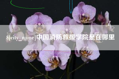 屯昌中国消防救援学院是在哪里