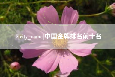 屯昌中国金牌排名前十名