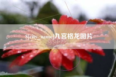 屯昌九宫格龙图片