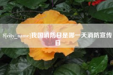 屯昌我国消防日是哪一天消防宣传日