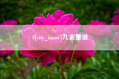 屯昌九金是谁