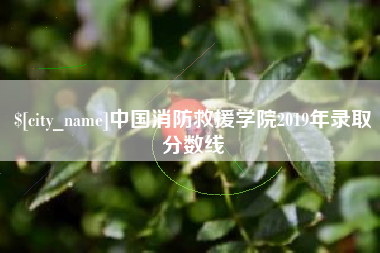 屯昌中国消防救援学院2019年录取分数线