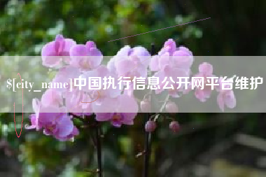 屯昌中国执行信息公开网平台维护