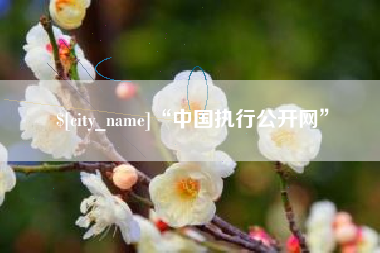 屯昌“中国执行公开网”