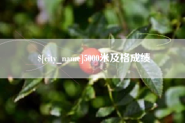 屯昌5000米及格成绩