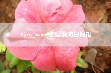 屯昌全国消防日海报