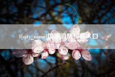 屯昌国家消防报名入口