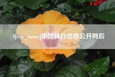屯昌中国执行信息公开网后