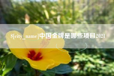 屯昌中国金牌是哪些项目2021