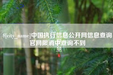 屯昌中国执行信息公开网信息查询官网限消中查询不到
