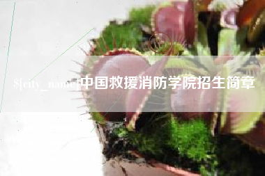 屯昌中国救援消防学院招生简章