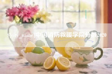 屯昌中国消防救援学院分数2020