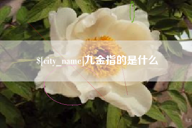 屯昌九金指的是什么