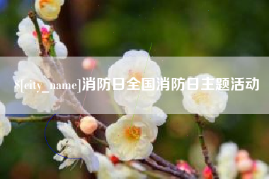 屯昌消防日全国消防日主题活动