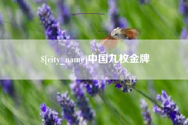 屯昌中国九枚金牌