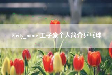 屯昌王子豪个人简介乒乓球