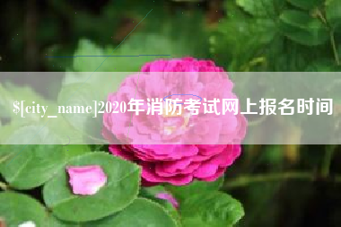 屯昌2020年消防考试网上报名时间