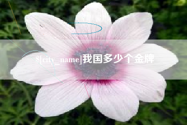 屯昌我国多少个金牌