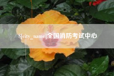 屯昌全国消防考试中心