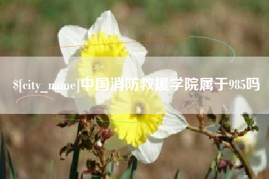 屯昌中国消防救援学院属于985吗