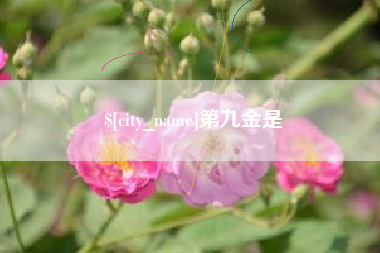 屯昌第九金是