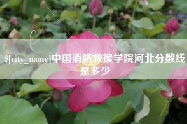 屯昌中国消防救援学院河北分数线是多少