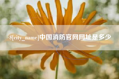 屯昌中国消防官网网址是多少