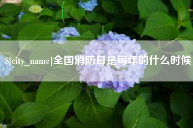 屯昌全国消防日是每年的什么时候