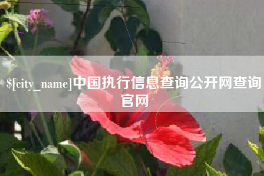 屯昌中国执行信息查询公开网查询官网