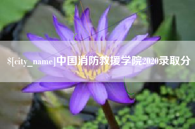 屯昌中国消防救援学院2020录取分