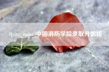 屯昌中国消防学院录取分数线