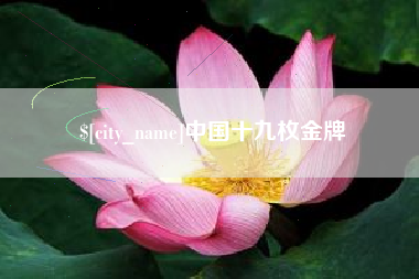 屯昌中国十九枚金牌
