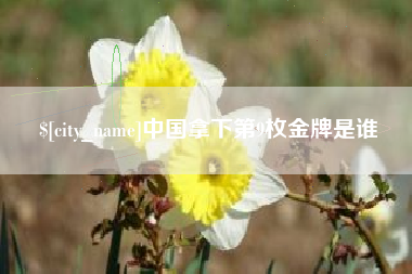 屯昌中国拿下第9枚金牌是谁
