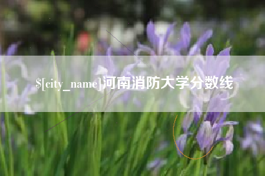 屯昌河南消防大学分数线