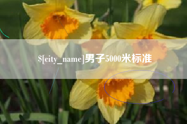 屯昌男子5000米标准