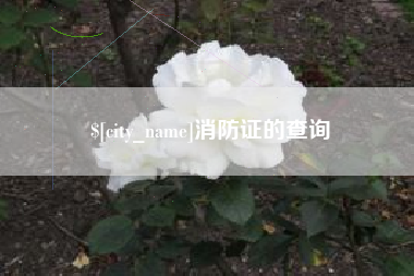屯昌消防证的查询