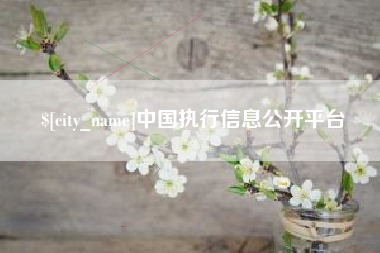 屯昌中国执行信息公开平台