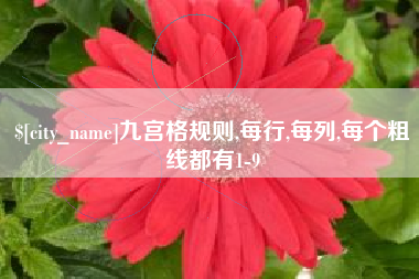 屯昌九宫格规则,每行,每列,每个粗线都有1-9