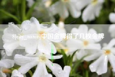 屯昌中国金牌得了几枚金牌