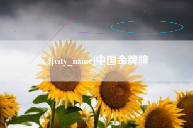 屯昌中国金牌牌