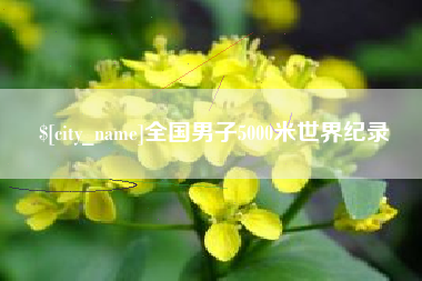 屯昌全国男子5000米世界纪录